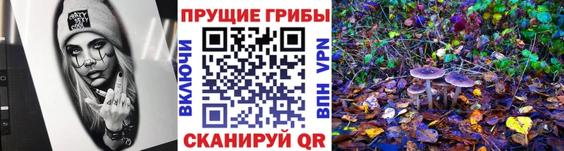 Галлюциногенные грибы Psilocybe  Тихвин 